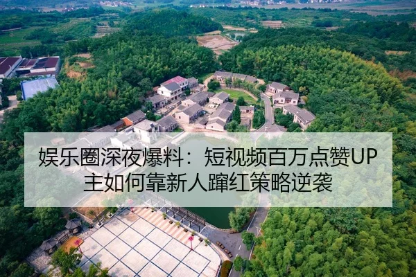 娱乐圈深夜爆料：短视频百万点赞UP主如何靠新人蹿红策略逆袭