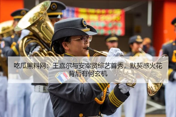 吃瓜黑料网：王嘉尔与安宰贤综艺首秀，默契感火花背后有何玄机